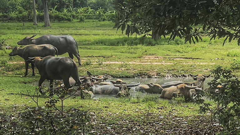 3BR Villa for sale Udon Thani by Owner